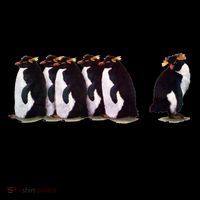 I Just Gotta Be Me Penguin Funny Tv Show Coffee Mug thumb 5