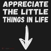 Inappropriate Joke Hilarious Sarcastic Gag Gifts Appreciate The Little Things In Life Funny Joke Adu T-Shirt thumb 7