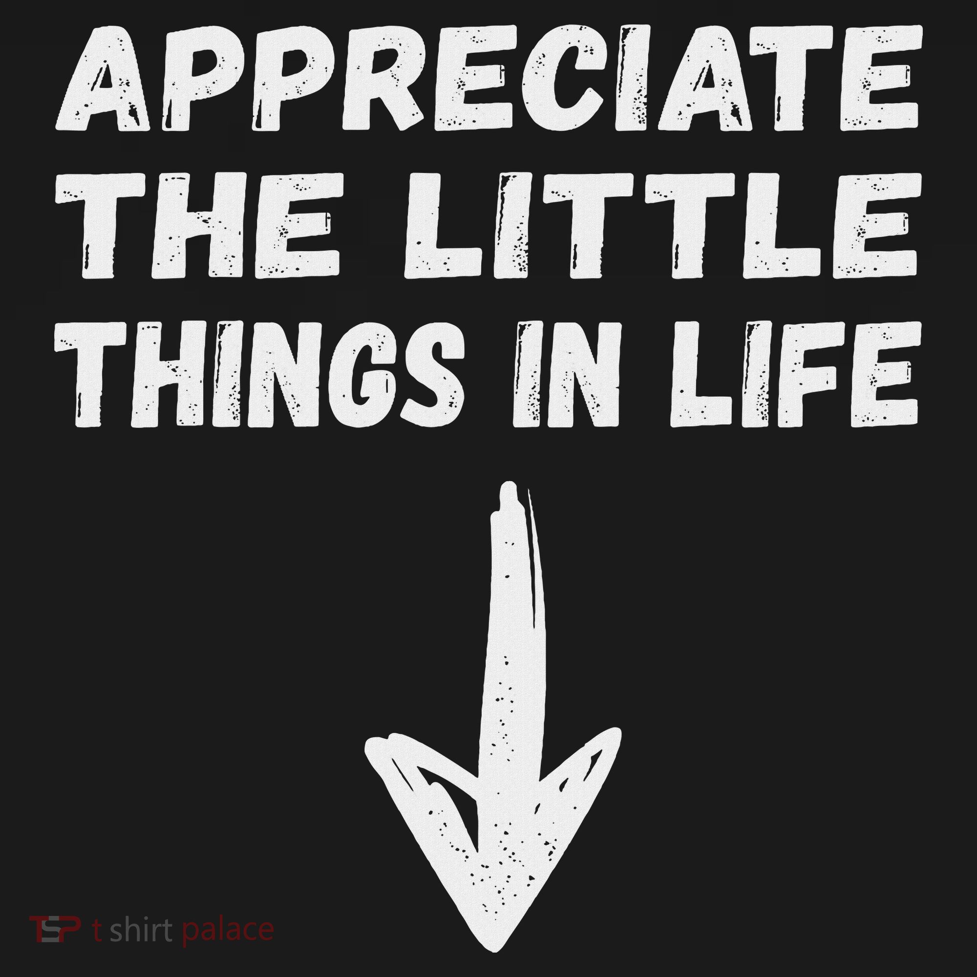 Inappropriate Joke Hilarious Sarcastic Gag Gifts Appreciate The Little Things In Life Funny Joke Adu T-Shirt