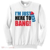 Im Just Here To Bang Firework 4th Of July Sweatshirt thumb 0