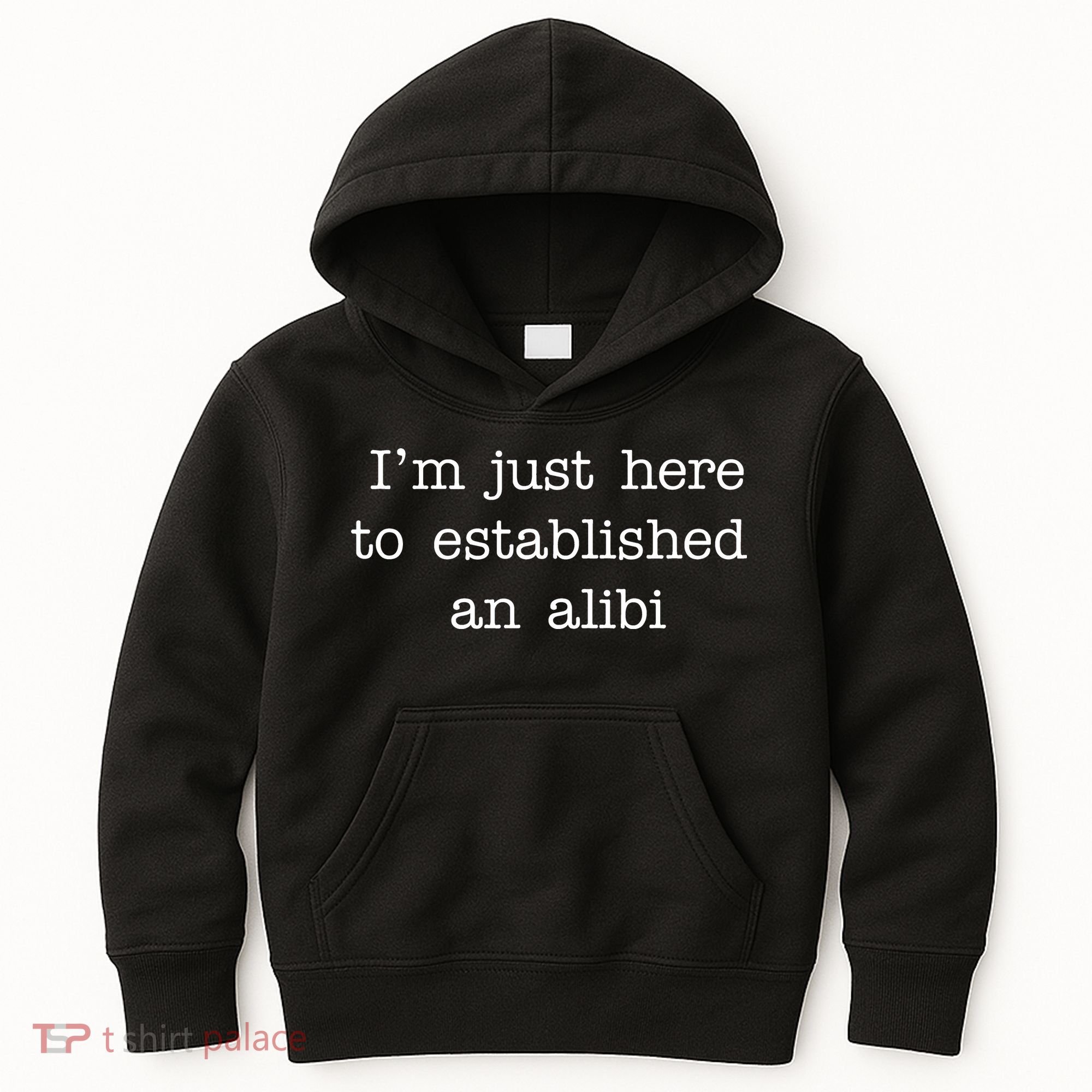 I'm Just Here To Established An Alibi Kids Hoodie
