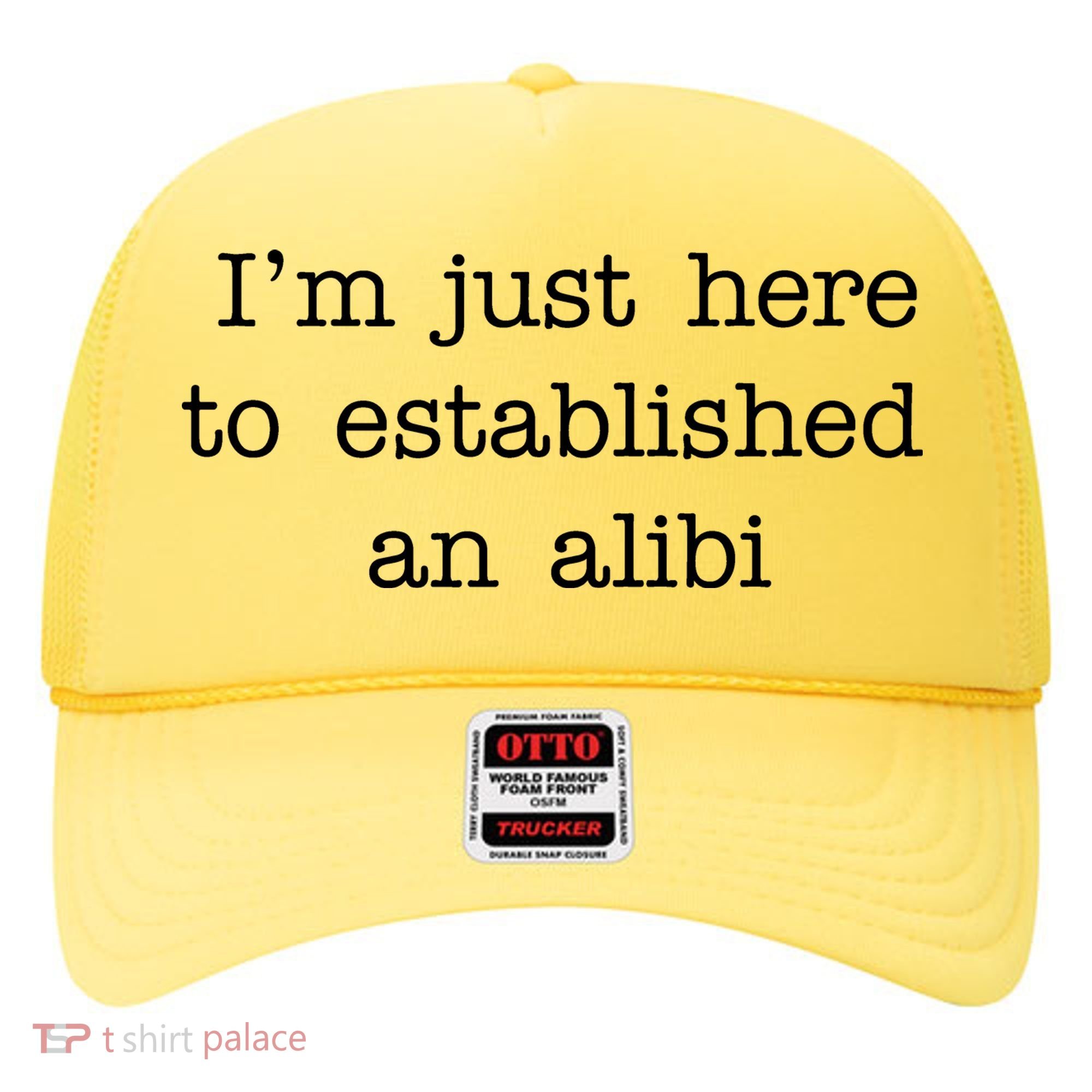 I'm Just Here To Established An Alibi Hat