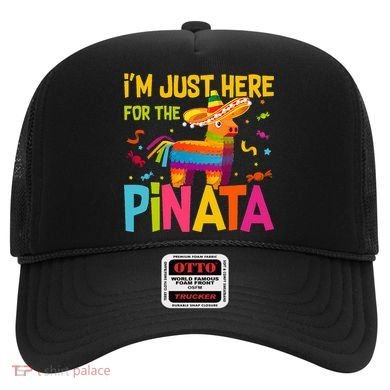 IM Just Here For The Pinata Hat