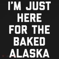 IM Just Here For The Baked Alaska Ice Cream Cake Dessert Hoodie thumb 2