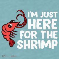 Im Just Here For The Shrimp Seafood Shrimp Sueded Cloud Jersey T-Shirt thumb 2