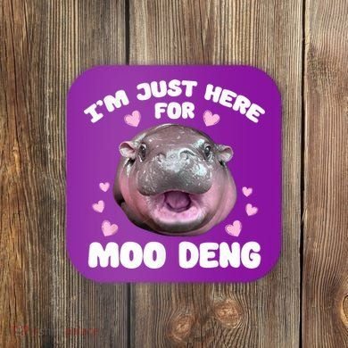 IM Just Here For The Moo Deng Coaster