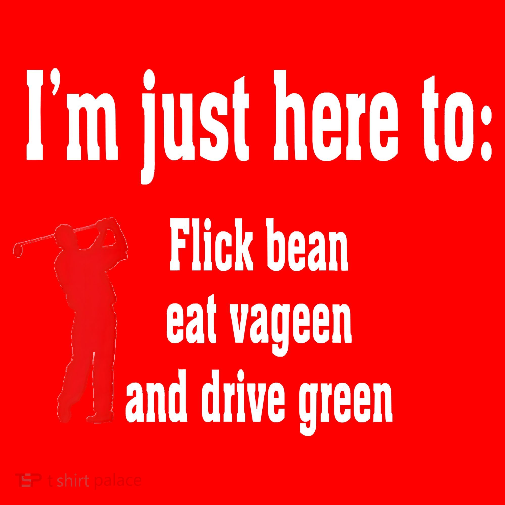 I'm Just Here To Flick Bean Eat Vageen And Drive Green Santa Hat