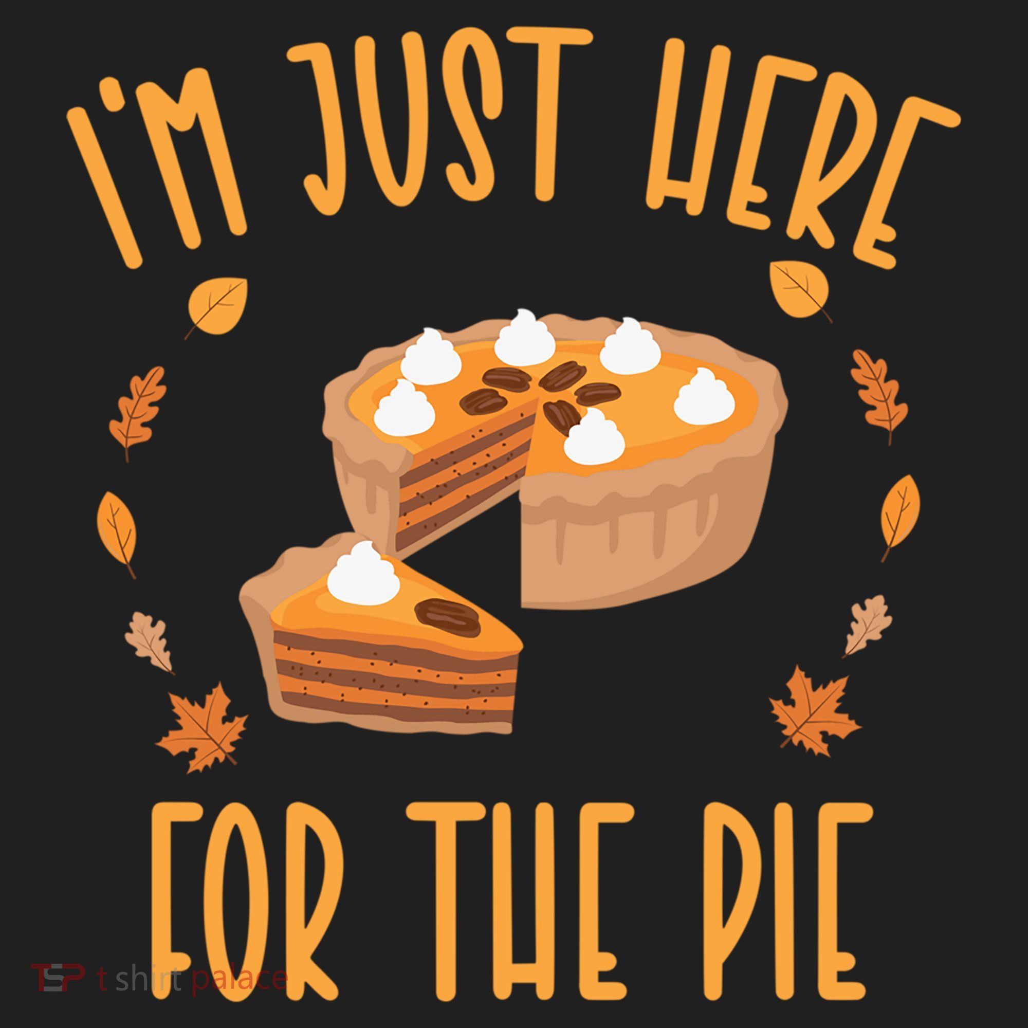 Im Just Here For The Pie Funny Thanksgiving Pumpkin Pie Gift Hat