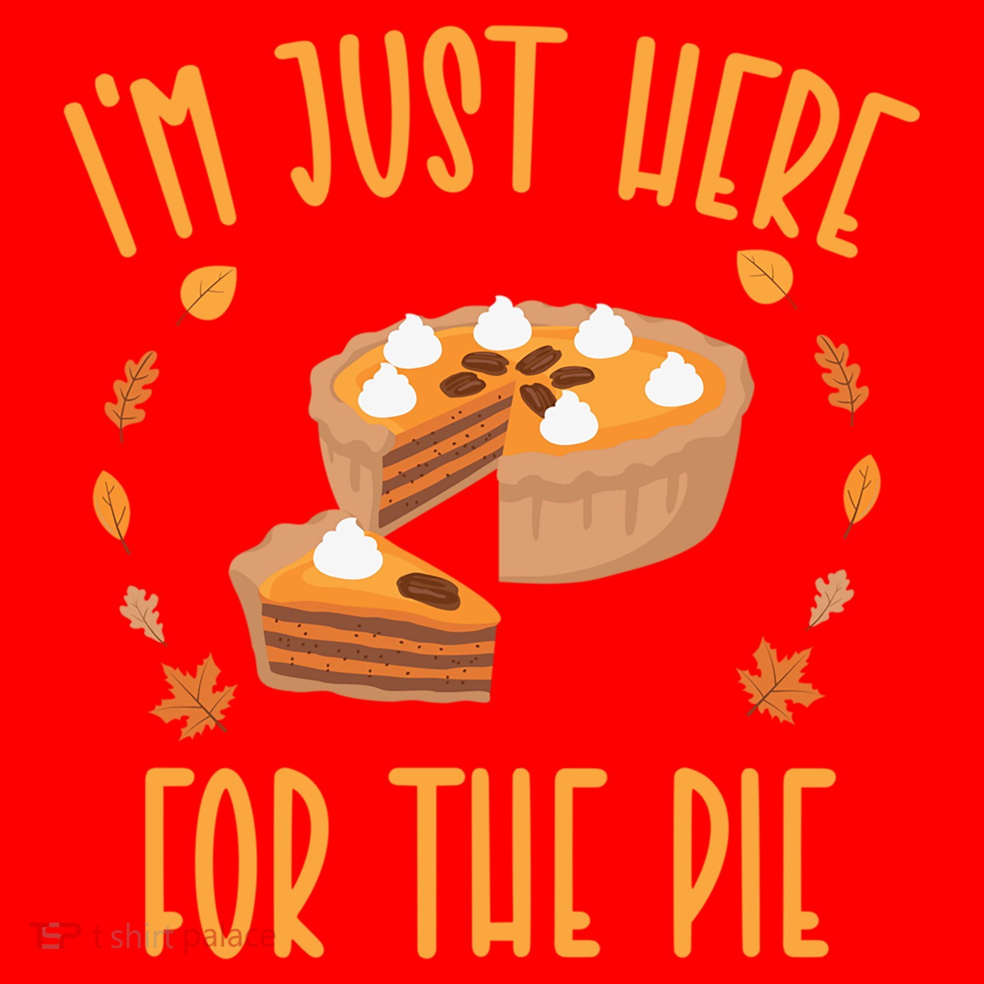 Im Just Here For The Pie Funny Thanksgiving Pumpkin Pie Gift Santa Hat