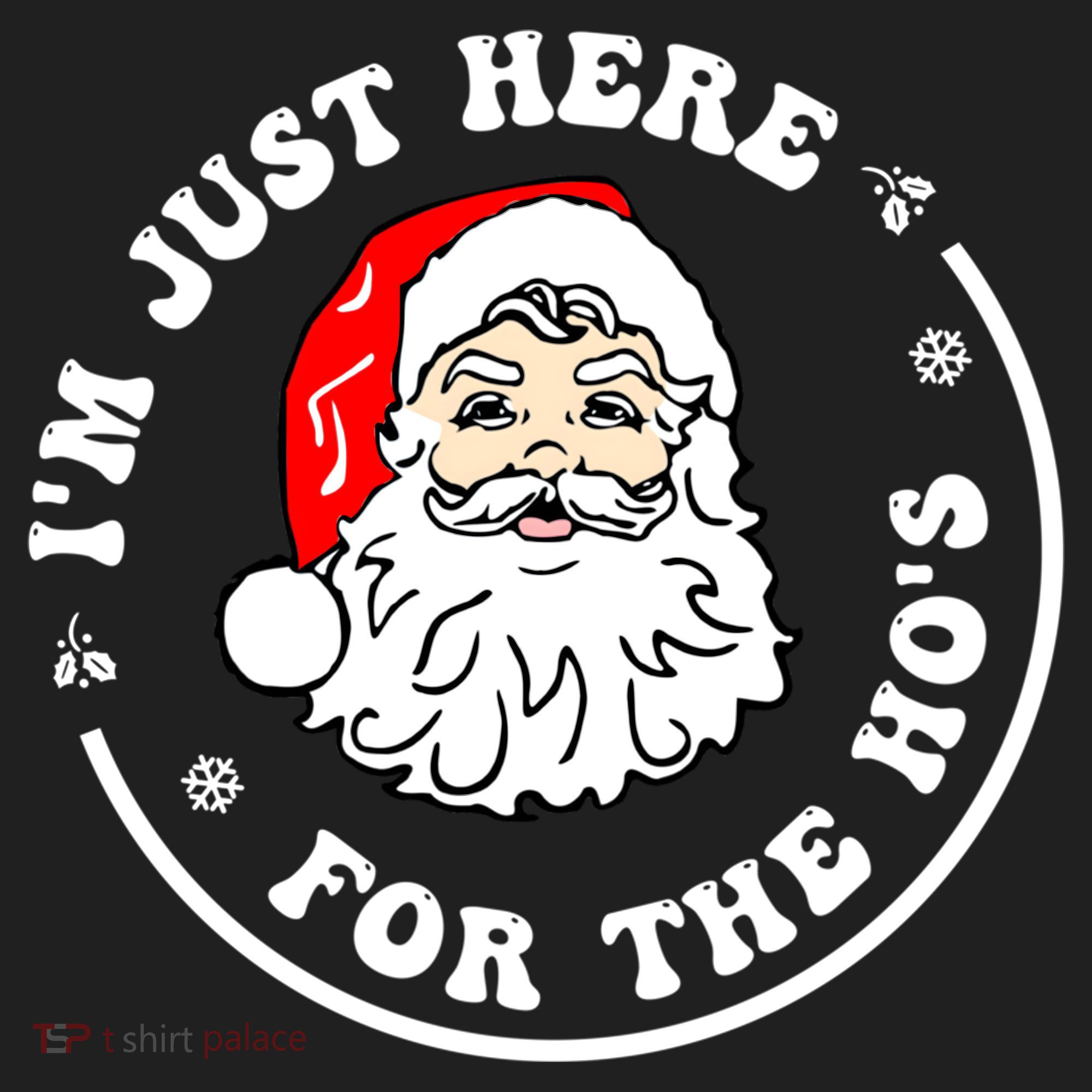 I'm Just Here For The Hos Funny Christmas Santa Xmas Gift Beanie
