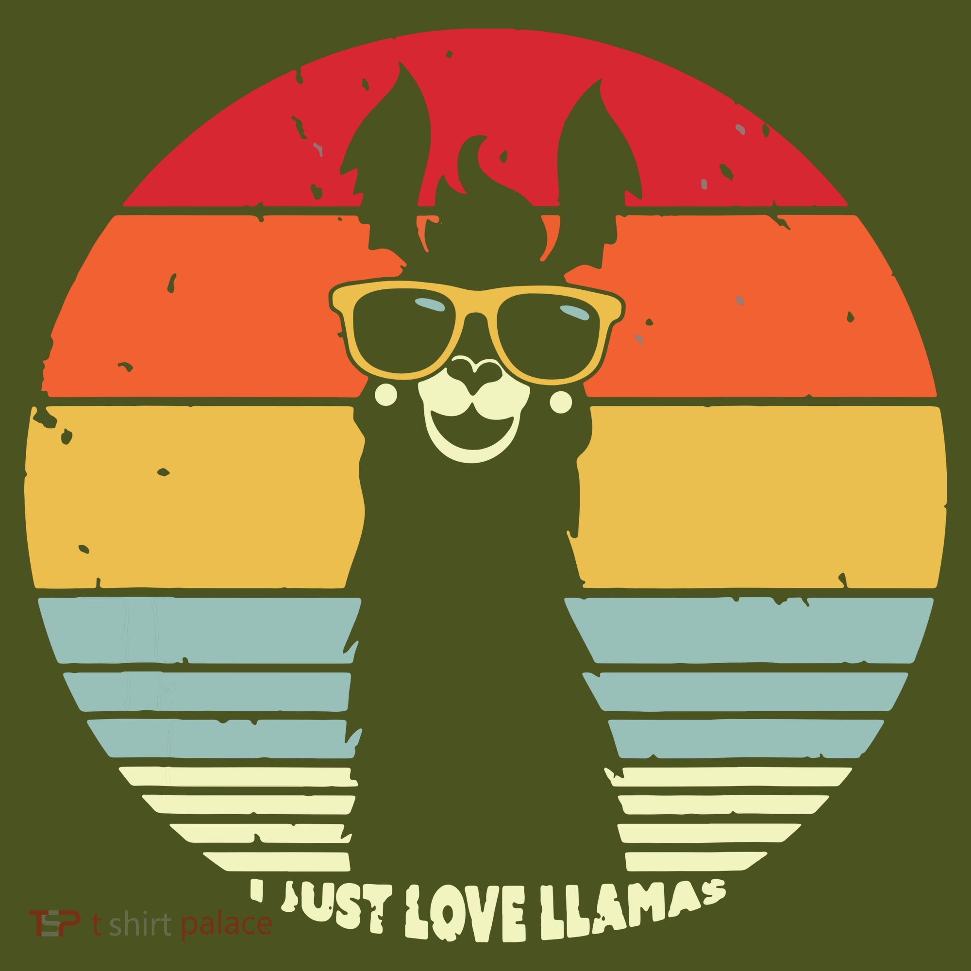 I Just Love Llamas Retro Style Llama Kids Hoodie