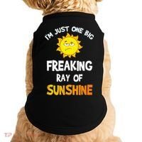 Im Just One Big Freaking Ray Of Sunshine Funny Idea Doggie Tank thumb 0