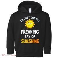 Im Just One Big Freaking Ray Of Sunshine Funny Idea Toddler Hoodie thumb 0