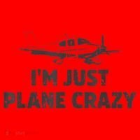 I'm Just Plane Crazy. Funny Airplane Pilots Santa Hat thumb 1