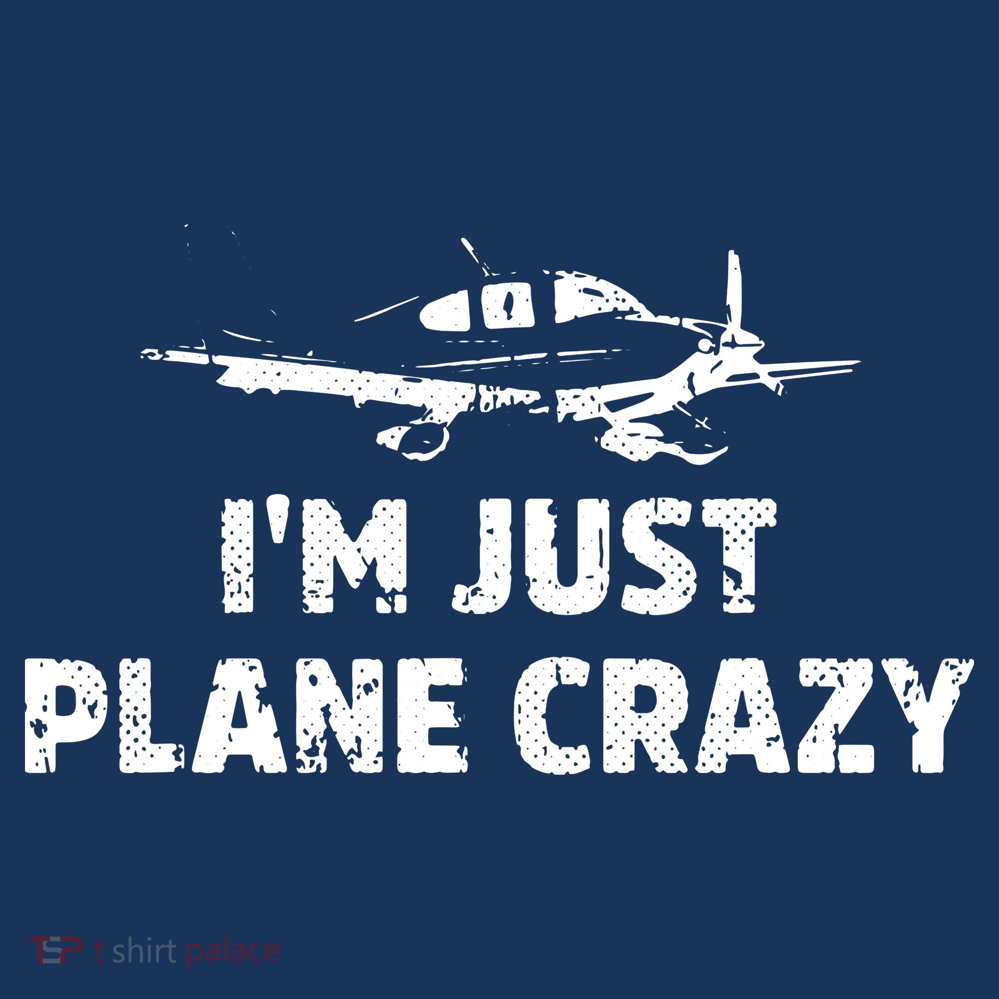 Im Just Plane Crazy Funny Airplane Pilots Sweatshirt