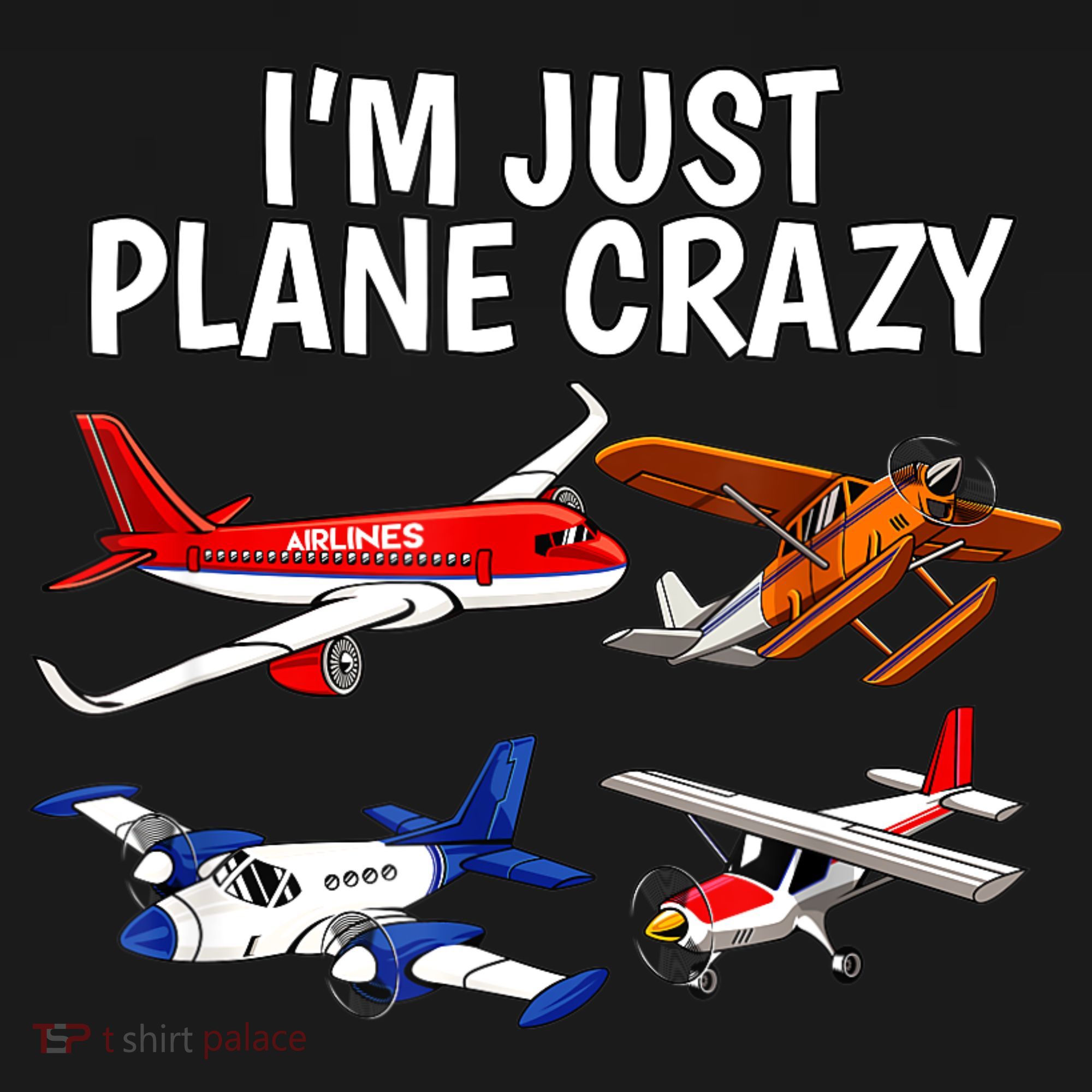 I'm Just Plane Crazy Aviation Gifts For Aircraft Pilots Women's Hoodie