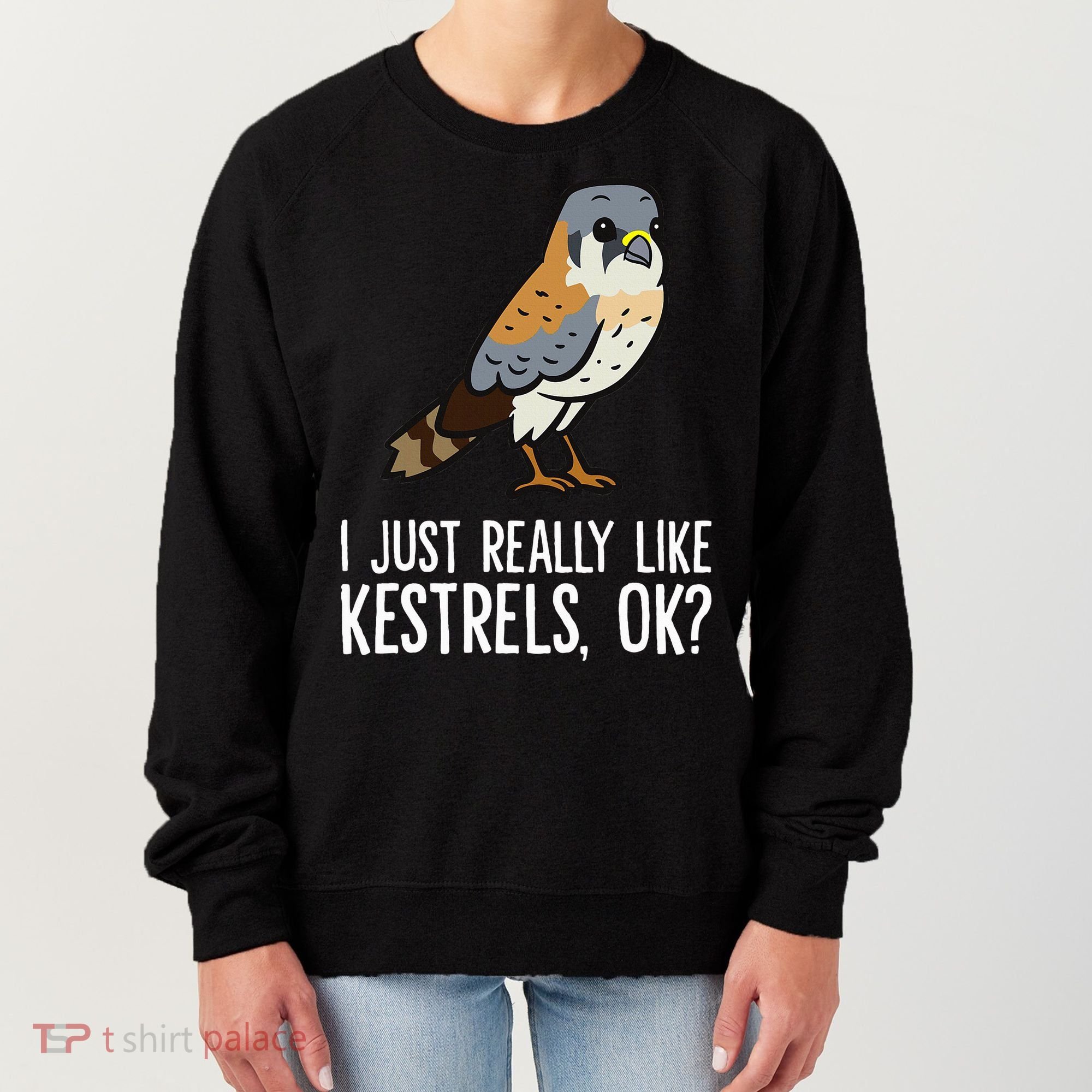 I Just Really Like Kestrels Ok Cute Kestrel Bird Women's Sweatshirt
