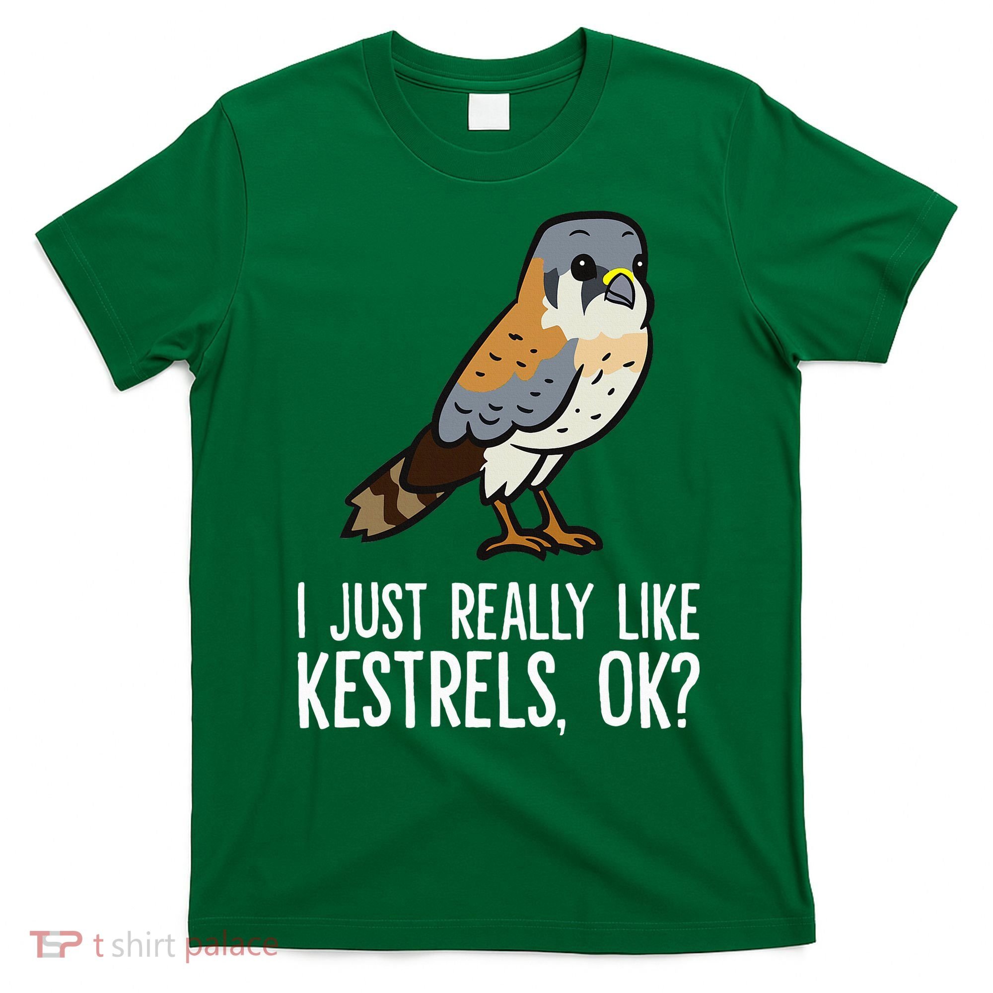 I Just Really Like Kestrels Ok Cute Kestrel Bird T-Shirt