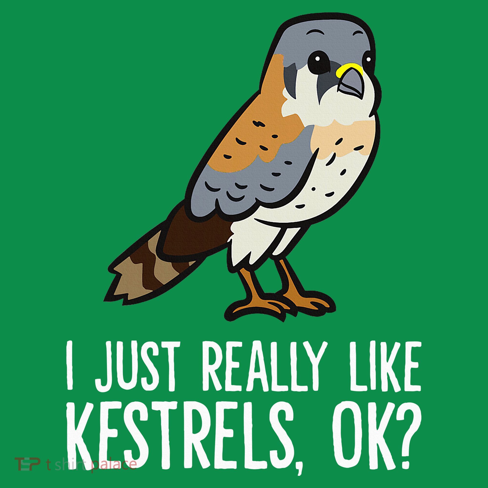 I Just Really Like Kestrels Ok Cute Kestrel Bird Women's T-Shirt