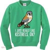 I Just Really Like Kestrels Ok Cute Kestrel Bird Kids Sweatshirt thumb 0