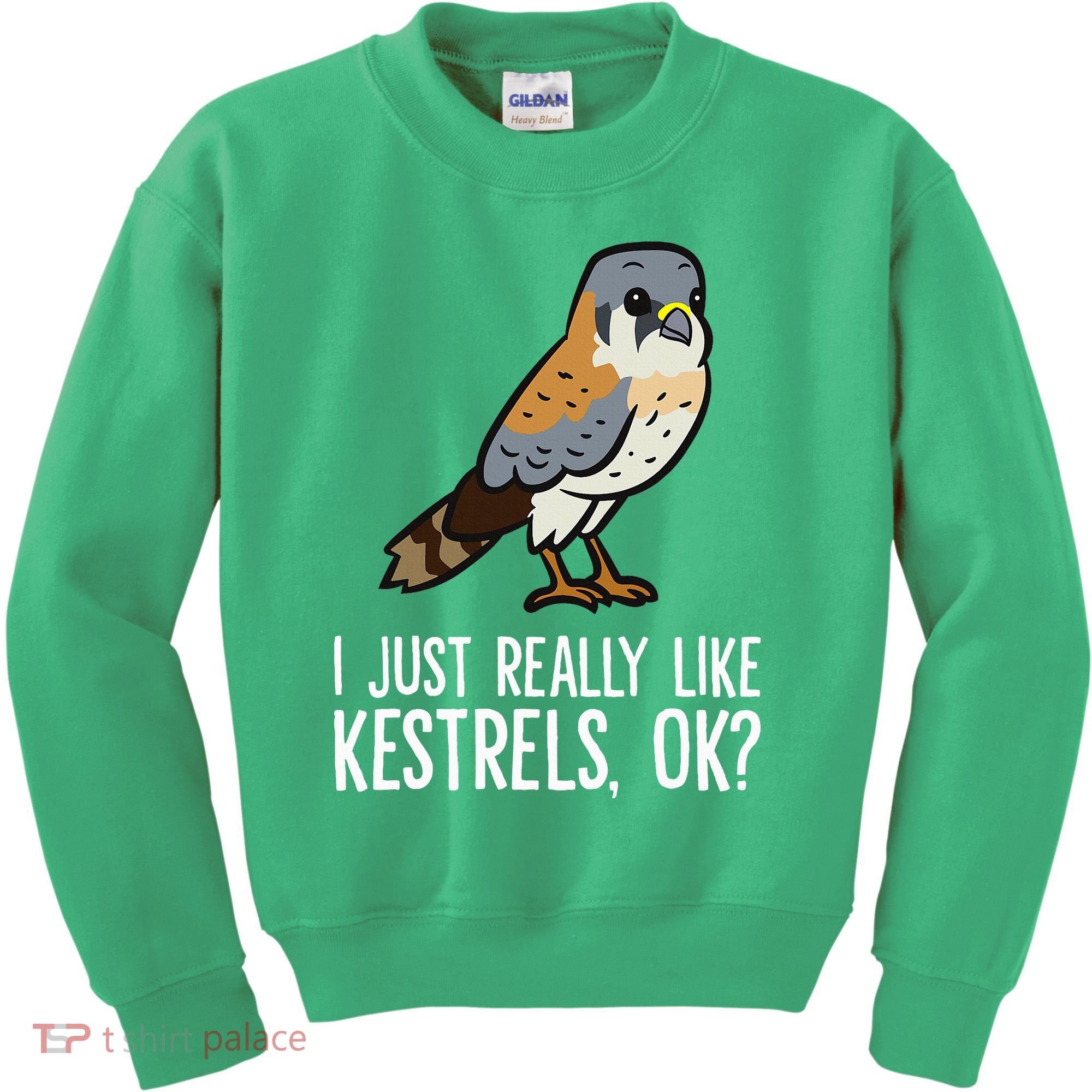 I Just Really Like Kestrels Ok Cute Kestrel Bird Kids Sweatshirt