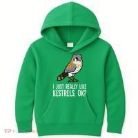 I Just Really Like Kestrels Ok Cute Kestrel Bird Kids Hoodie thumb 0
