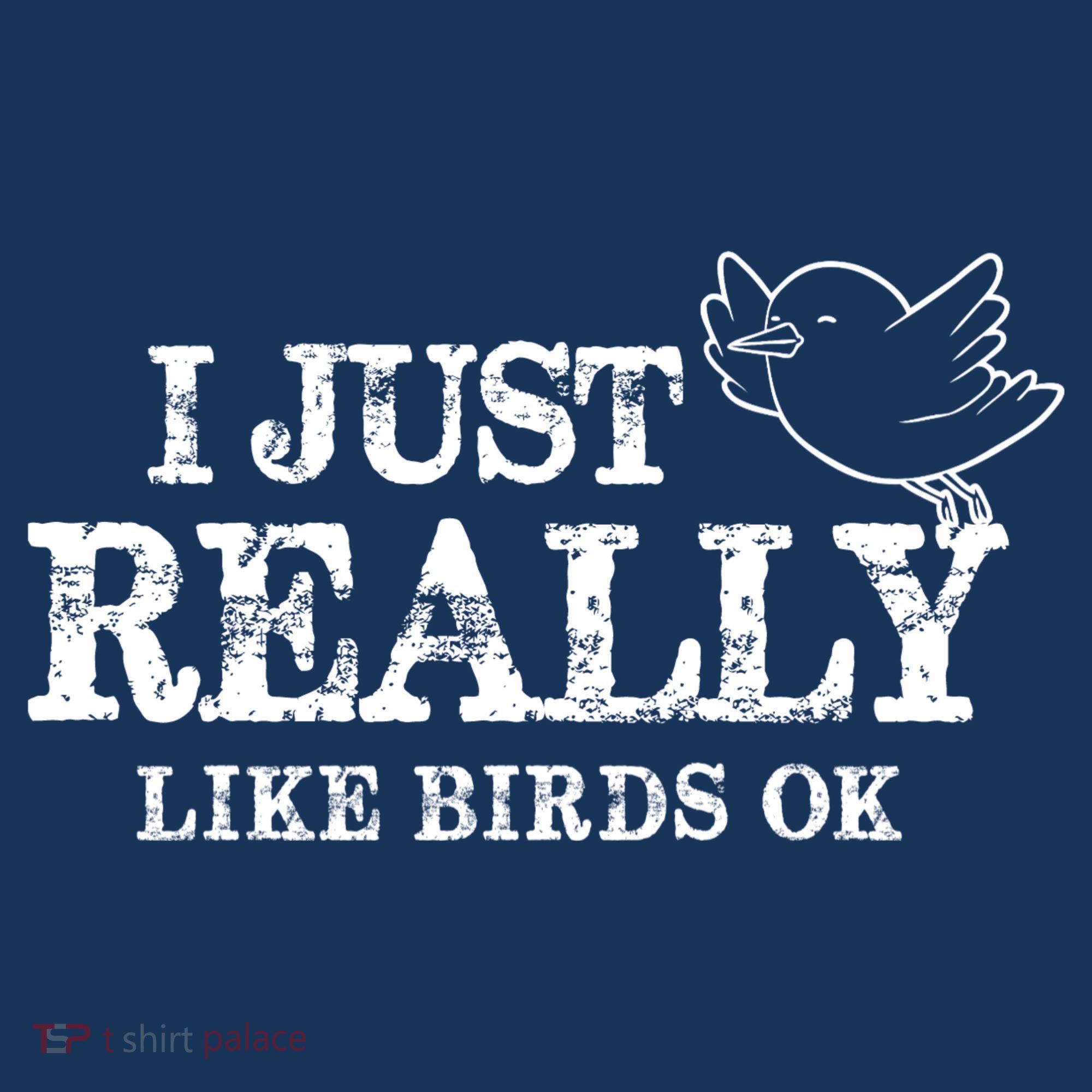 I Just Really Like Birds Ok Beanie