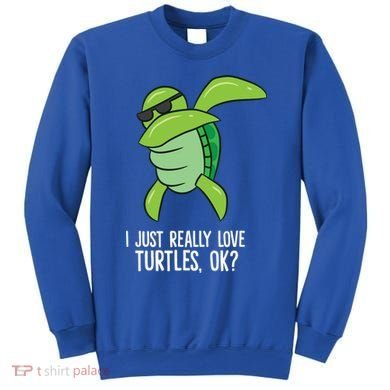 I Just Really Love Turtles Ok? Dabbing Turtle Gift Sweatshirt