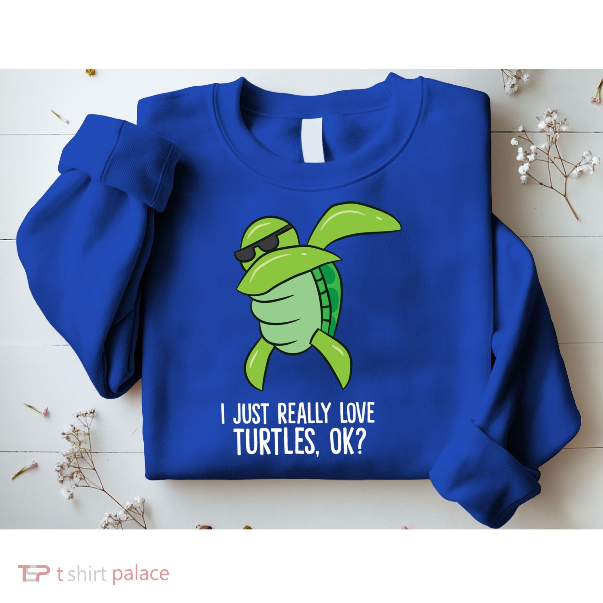 I Just Really Love Turtles Ok? Dabbing Turtle Gift Sweatshirt