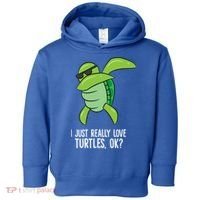I Just Really Love Turtles Ok? Dabbing Turtle Gift Toddler Hoodie thumb 0