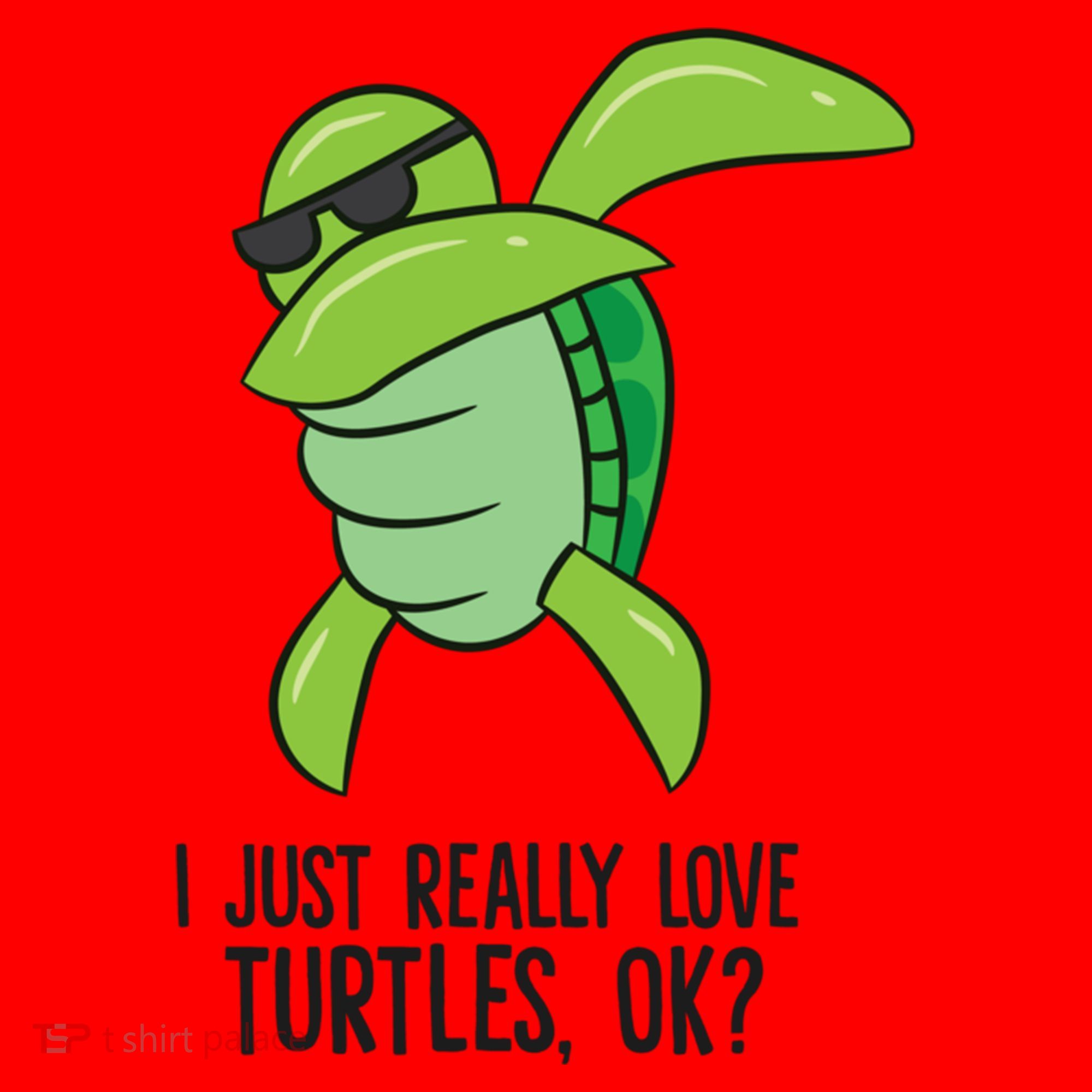 I Just Really Love Turtles Ok? Dabbing Turtle Gift Santa Hat