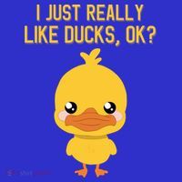 I Just Really Like Ducks Ok? Funny Cute Little Yellow Duck Gift Hoodie thumb 2