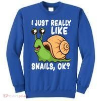 I Just Really Like Snails Ok Funny Snail Lover Gift Great Gift Sweatshirt thumb 0