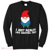 I Just Really Like Gnomes, Ok? Garden Gnome Premium Sweatshirt thumb 0