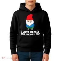 I Just Really Like Gnomes, Ok? Garden Gnome Premium Kids Hoodie thumb 4