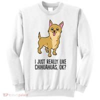 I Just Really Like Chihuahuas Ok? Cute Chihuahua Great Gift Sweatshirt thumb 0