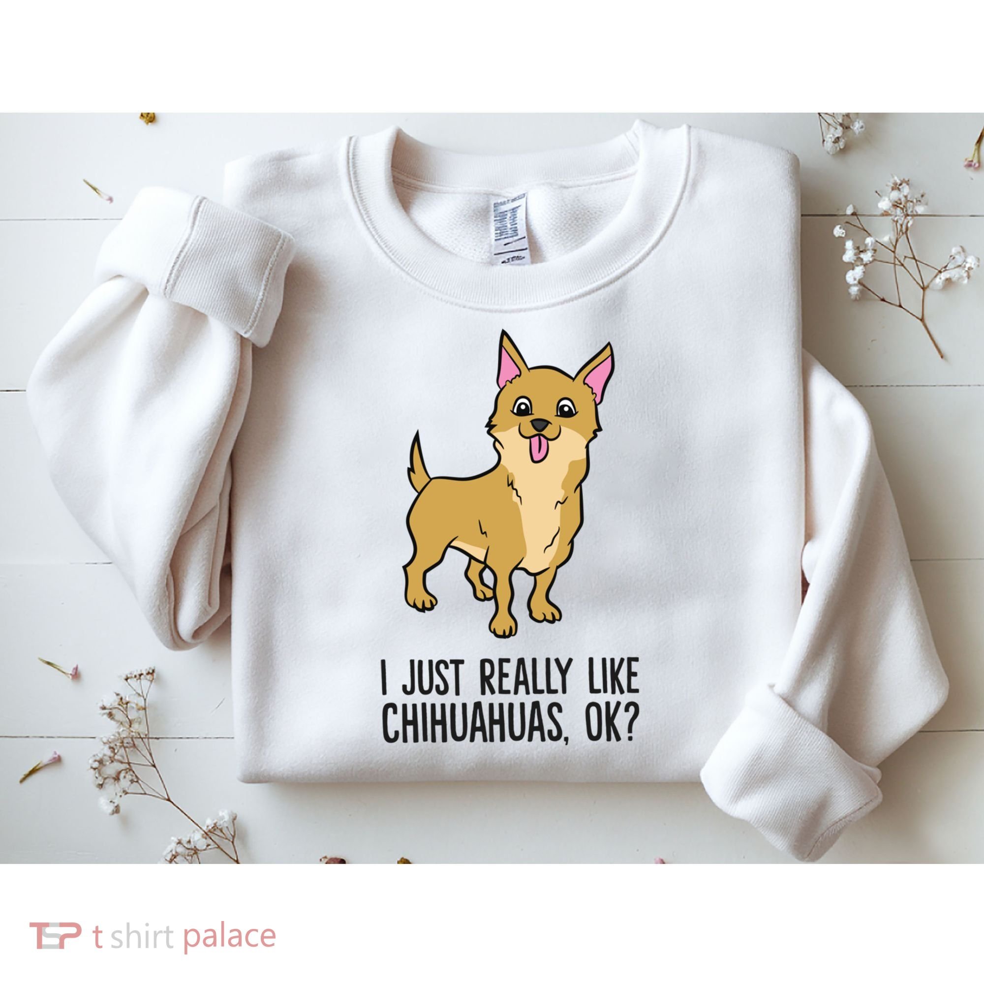 I Just Really Like Chihuahuas Ok? Cute Chihuahua Great Gift Sweatshirt