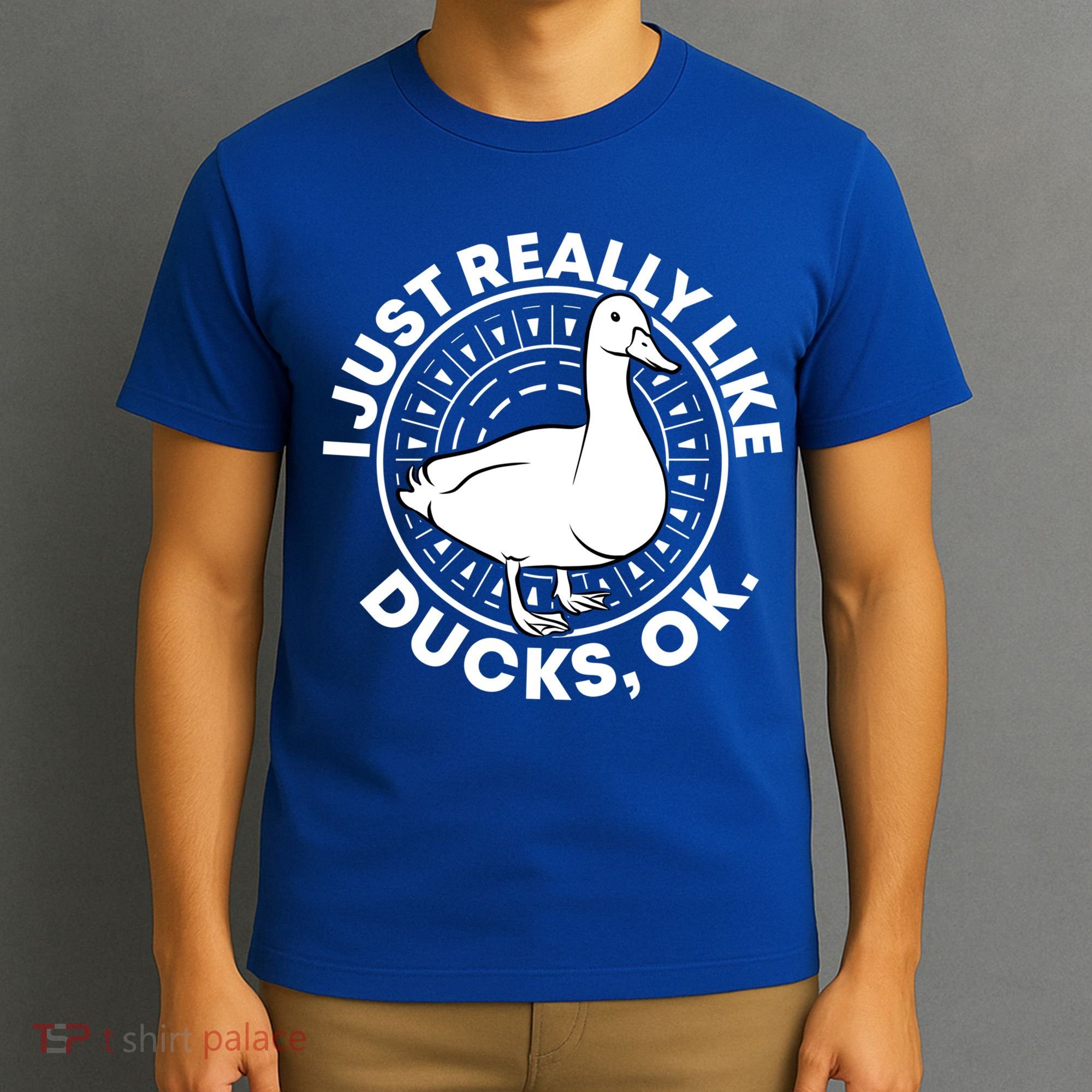 I Just Really Like Ducks Funny Vintage Duck Gift T-Shirt