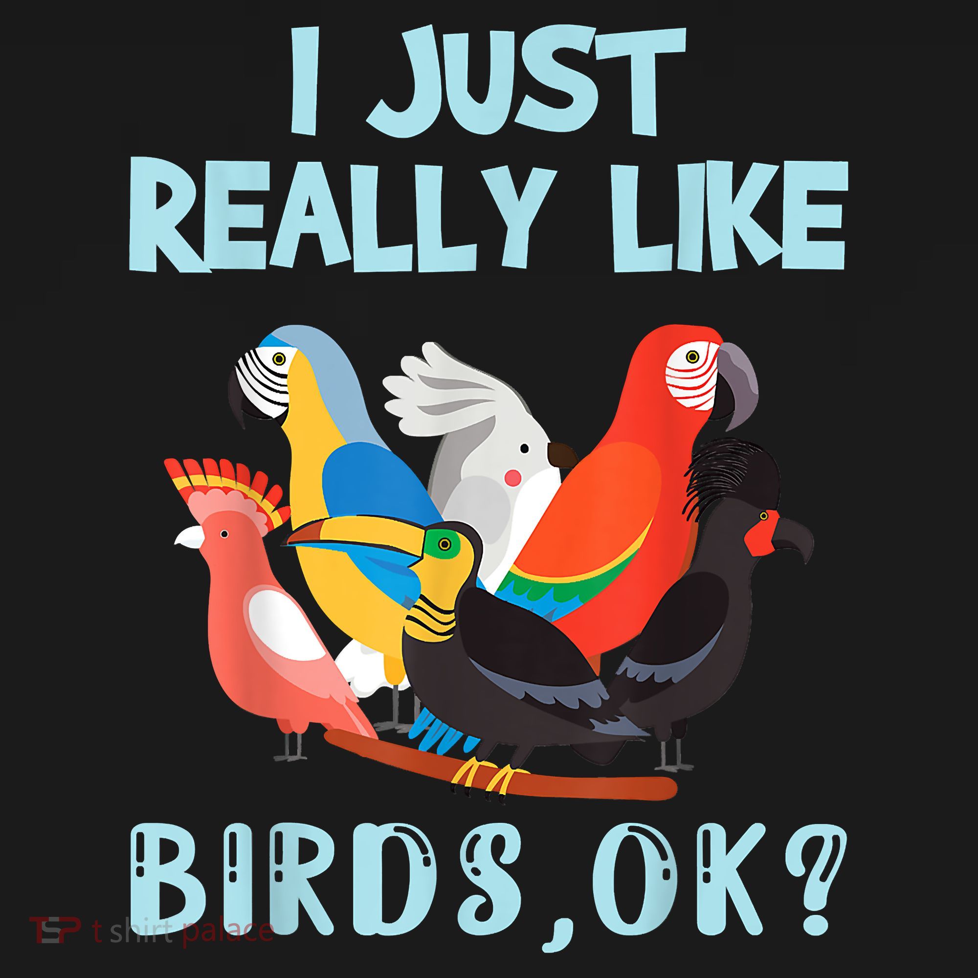 I Just Really Like Birds Ok Funny Toucan Macaw Parrot Women's Hoodie