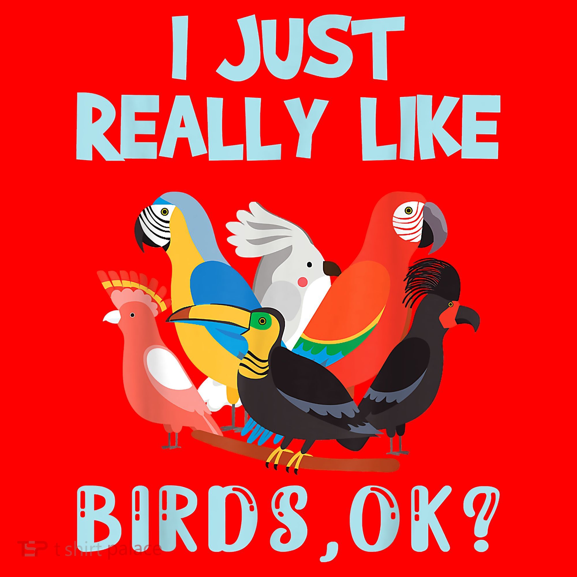 I Just Really Like Birds Ok Funny Toucan Macaw Parrot Santa Hat
