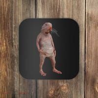 I Just Really Like Naked Moles Ok Funny Naked Mole Rat Coaster thumb 0