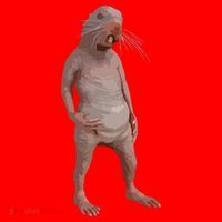 I Just Really Like Naked Moles Ok Funny Naked Mole Rat Santa Hat thumb 1
