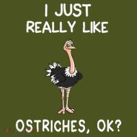 I Just Really Like Ostriches The Baniff Cuffed Pom Beanie thumb 2