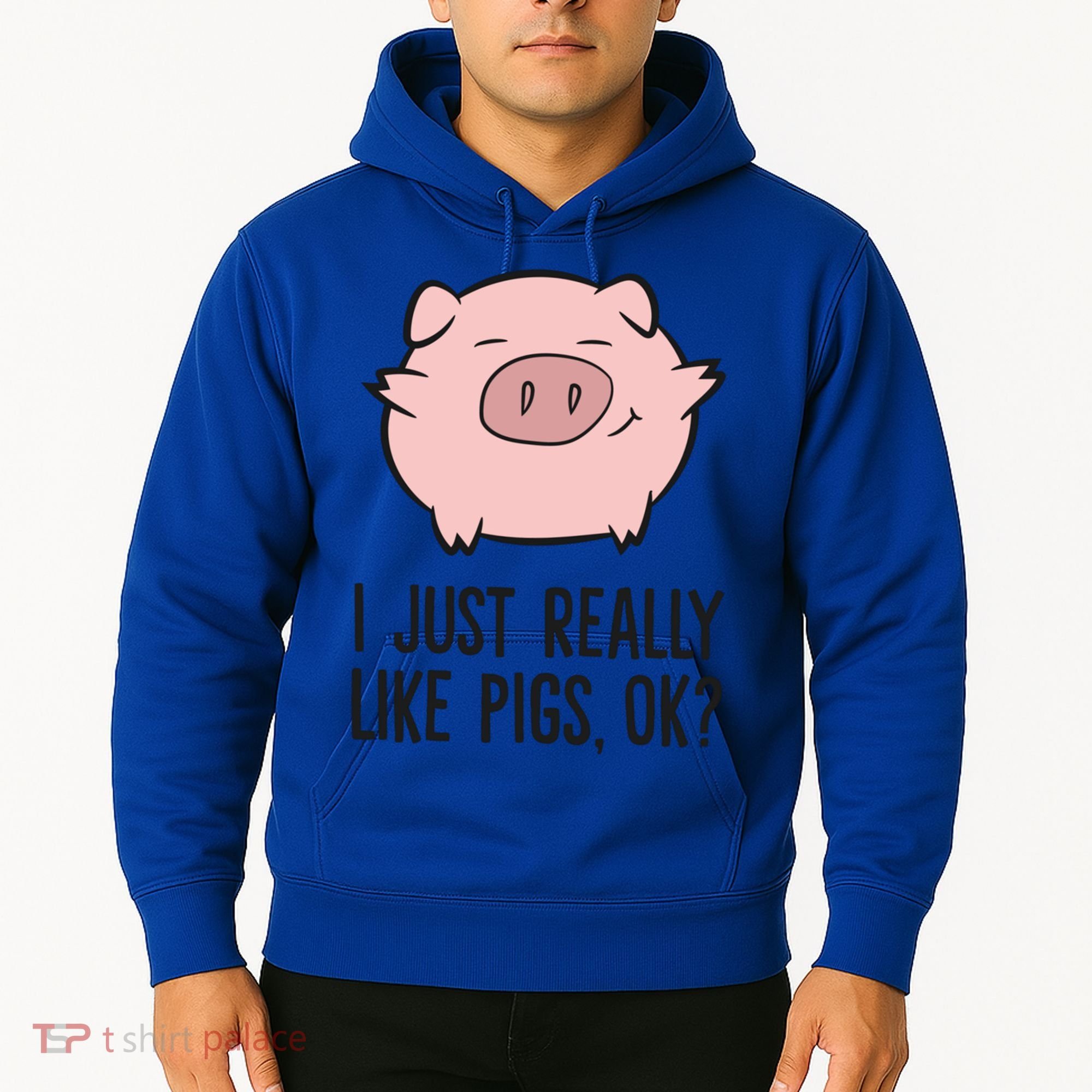 I Just Really Like Pigs Ok? Pig Lovers Cool Gift Hoodie