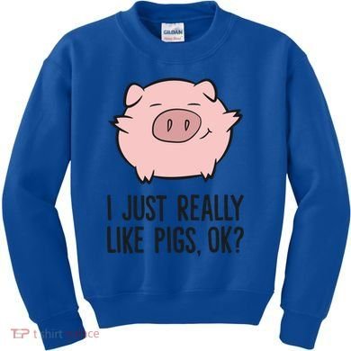 I Just Really Like Pigs Ok? Pig Lovers Cool Gift Kids Sweatshirt