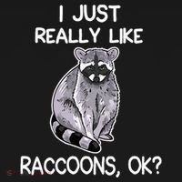 I Just Really Like Raccoons Ok Lover Gift Raccoon Love Hoodie thumb 2