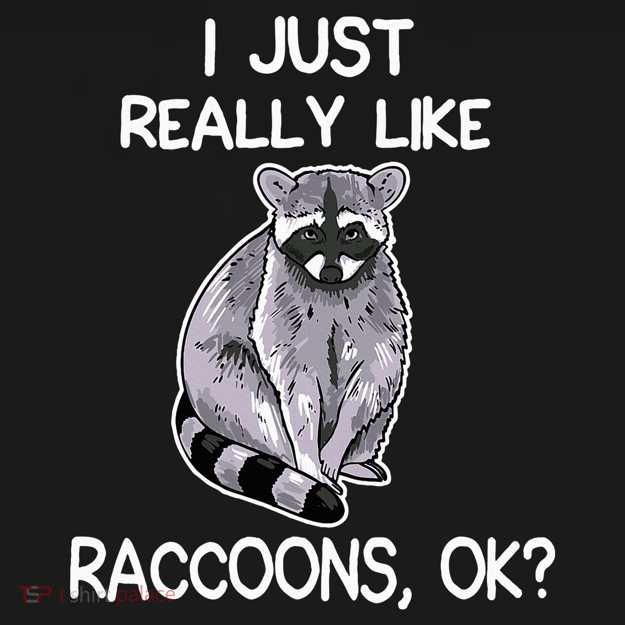 I Just Really Like Raccoons Ok Lover Gift Raccoon Love Hoodie
