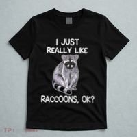 I Just Really Like Raccoons Ok Lover Gift Raccoon Love T-Shirt thumb 5