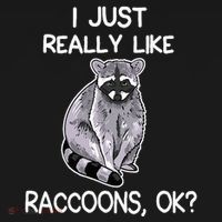 I Just Really Like Raccoons Ok Lover Gift Raccoon Love T-Shirt thumb 7