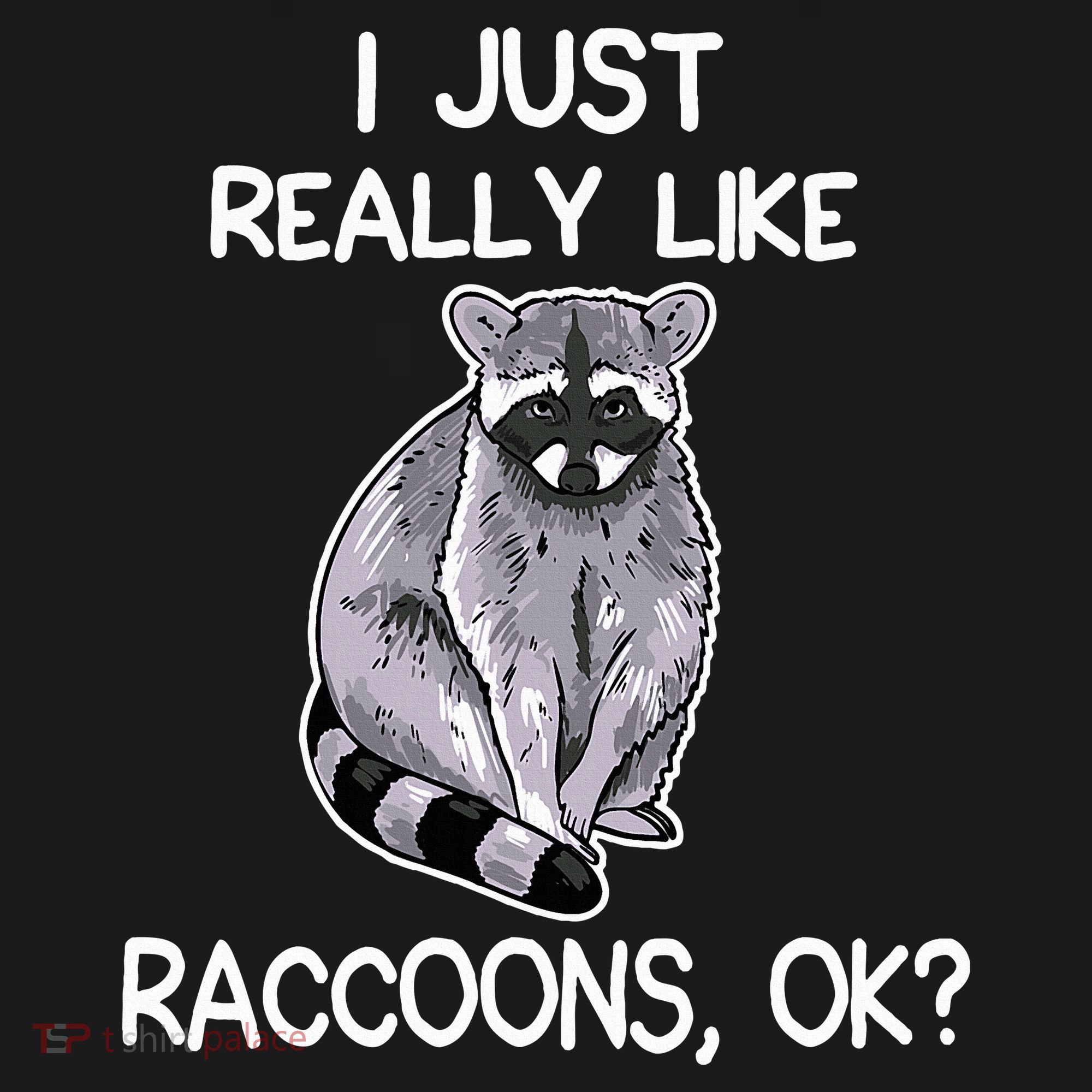 I Just Really Like Raccoons Ok Lover Gift Raccoon Love Women's Hoodie